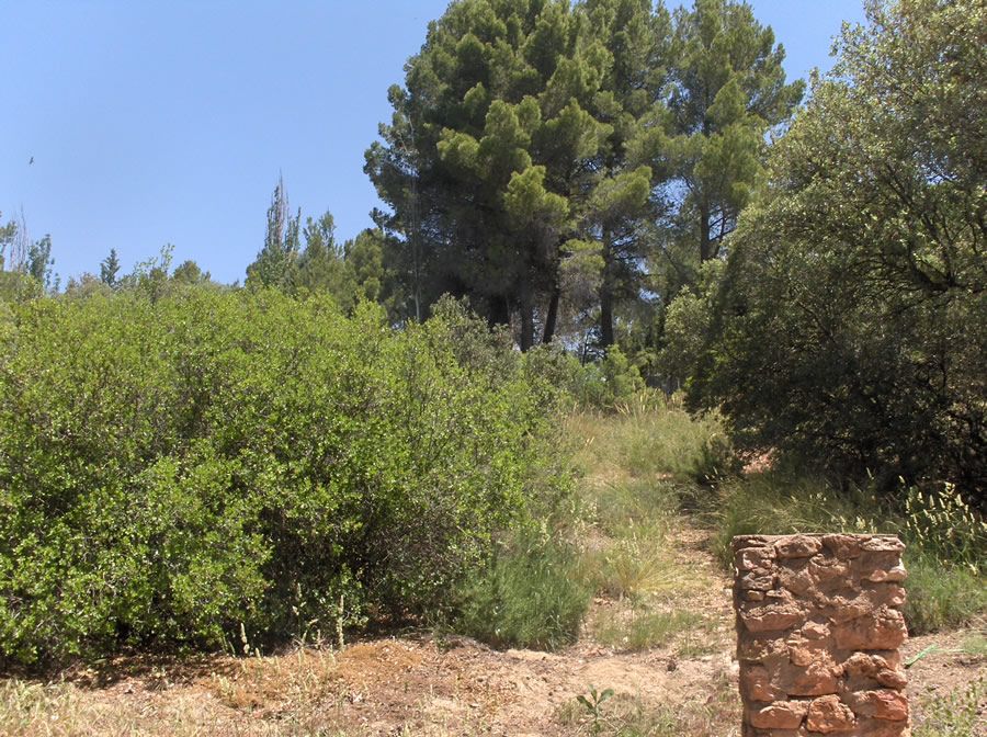 SOLAR VILLARES EN RUIDERA